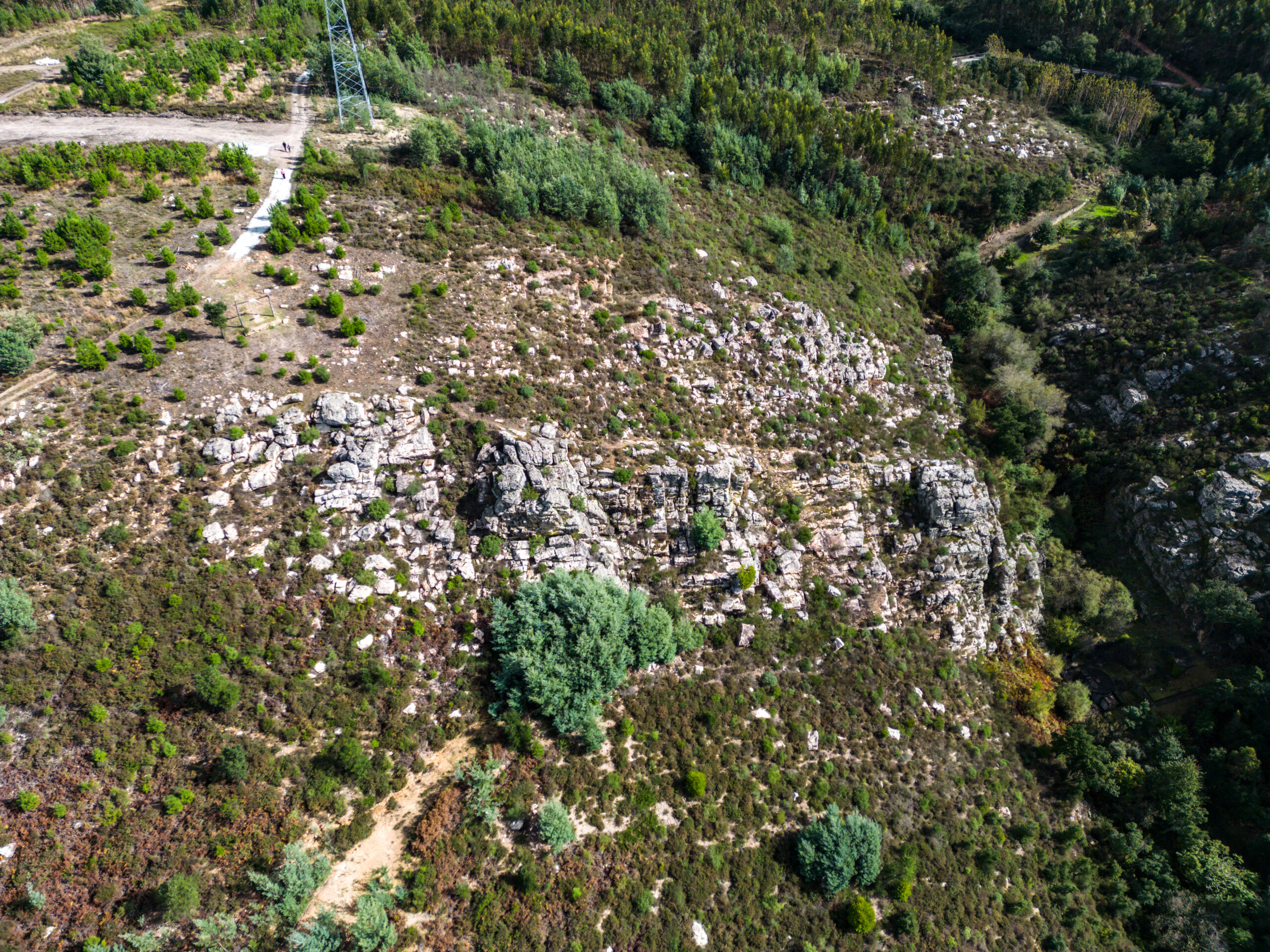 001 - Castelos - Carapinha
