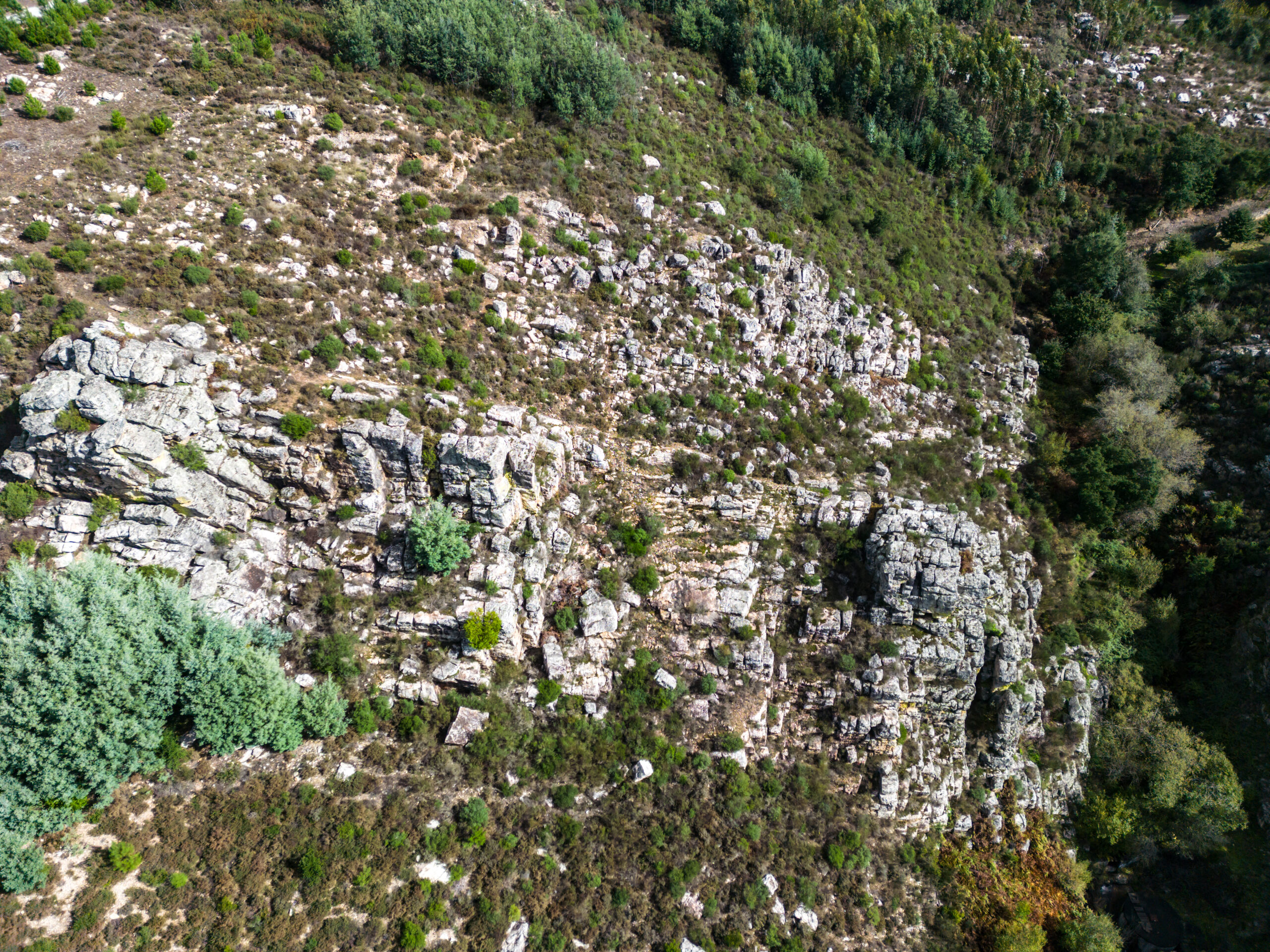 003 - Castelos - Carapinha