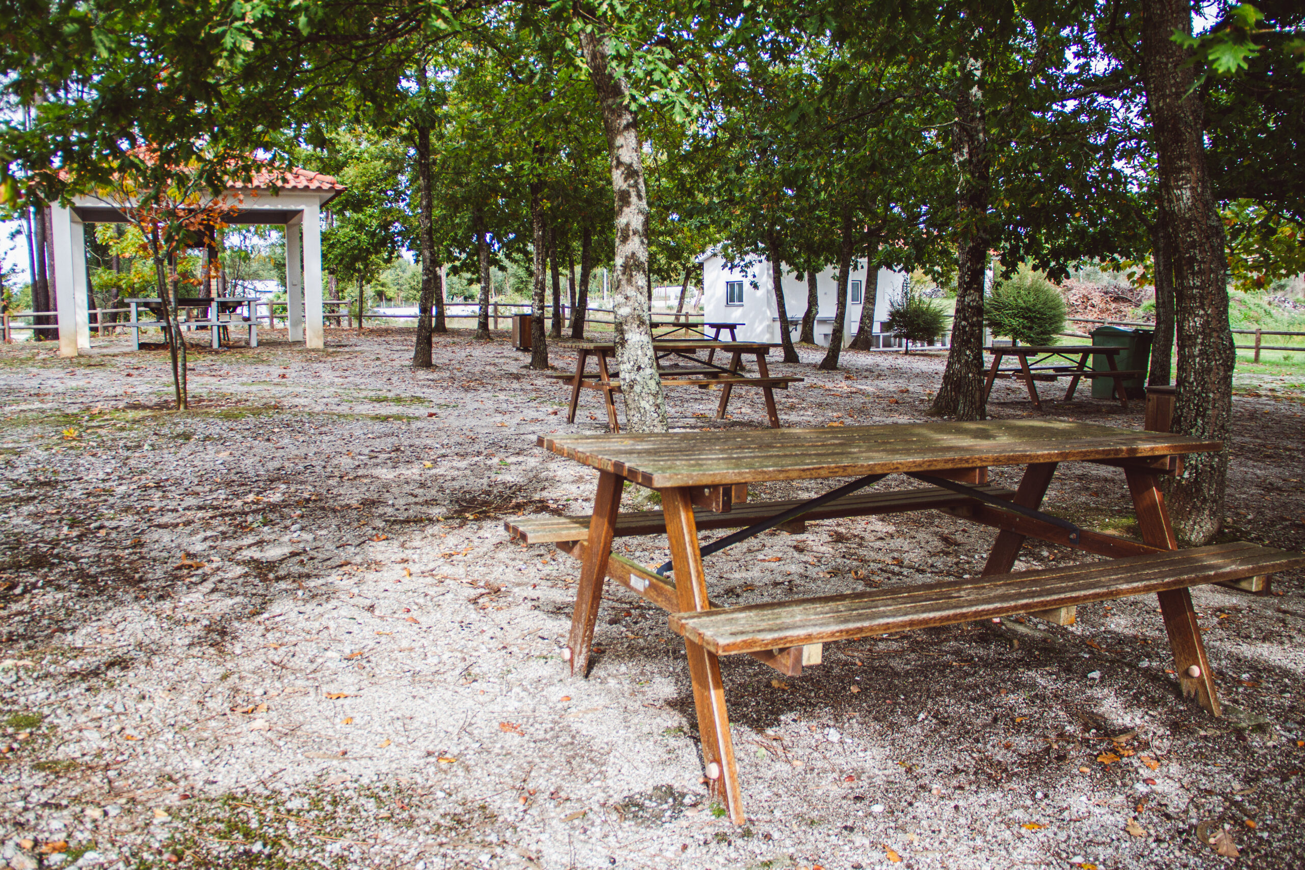 019 Parques de Merendas Since