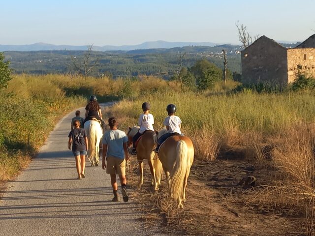 Portugal by Horse