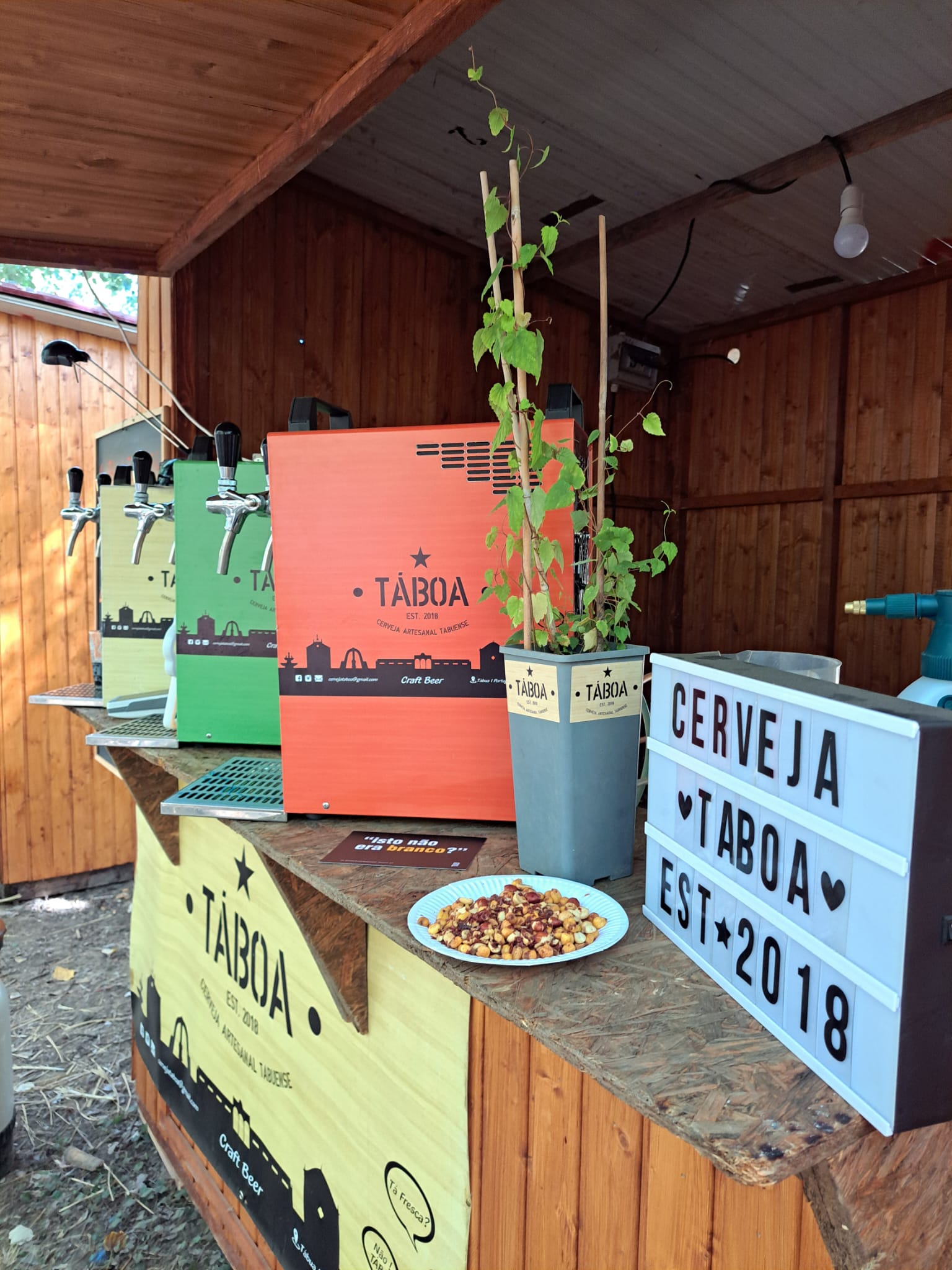 Cerveja Taboa 11