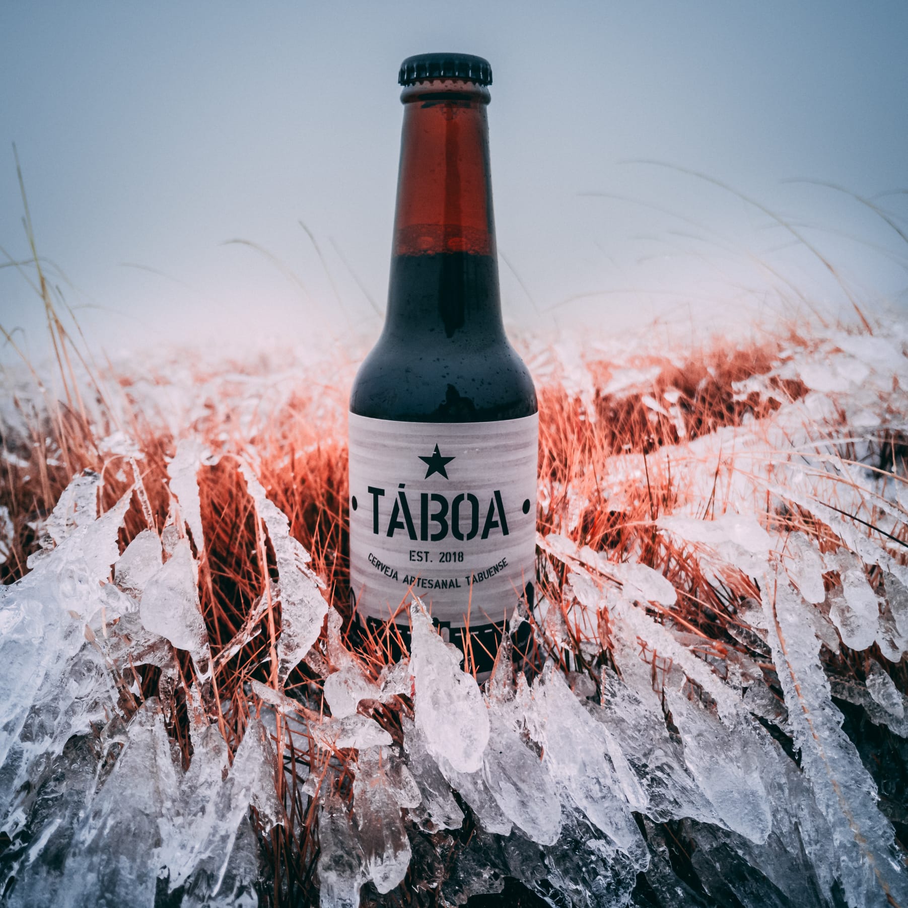 Cerveja Taboa 3