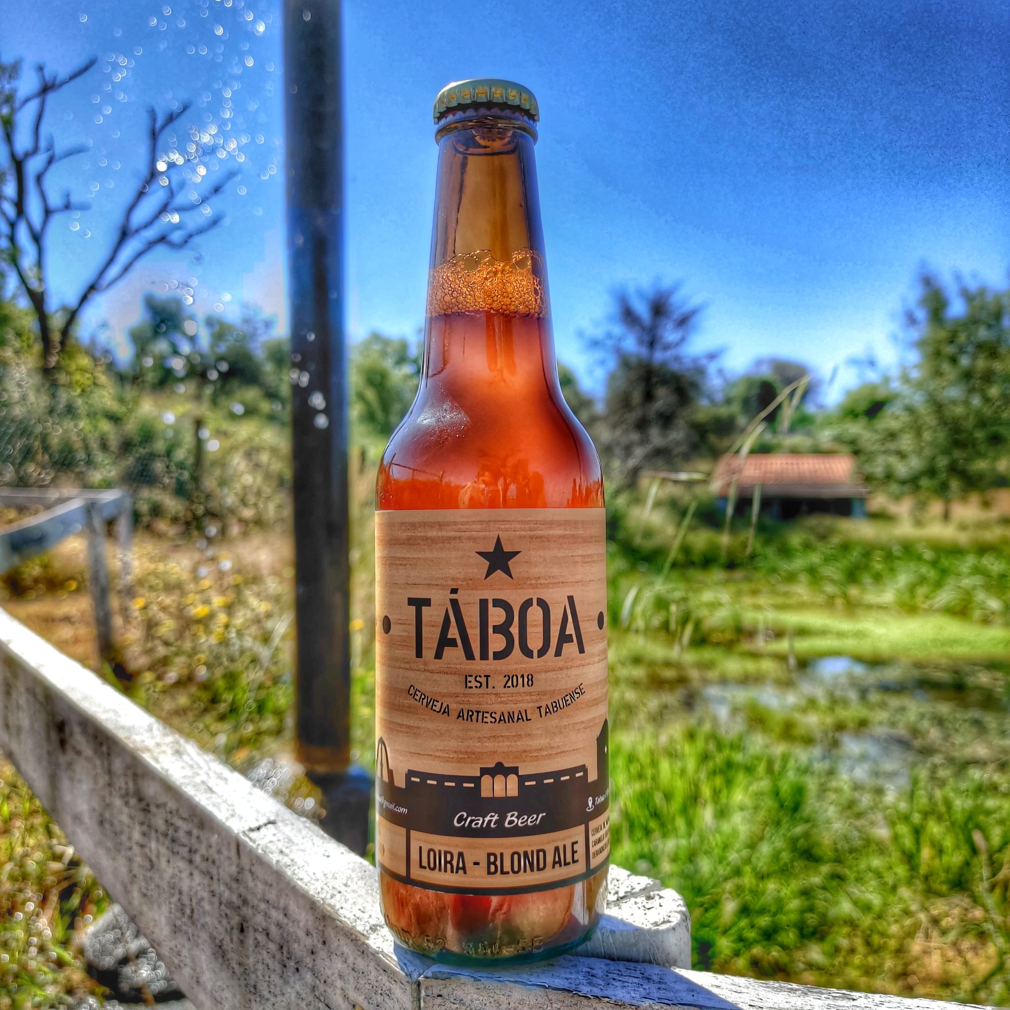 Cerveja Taboa 6
