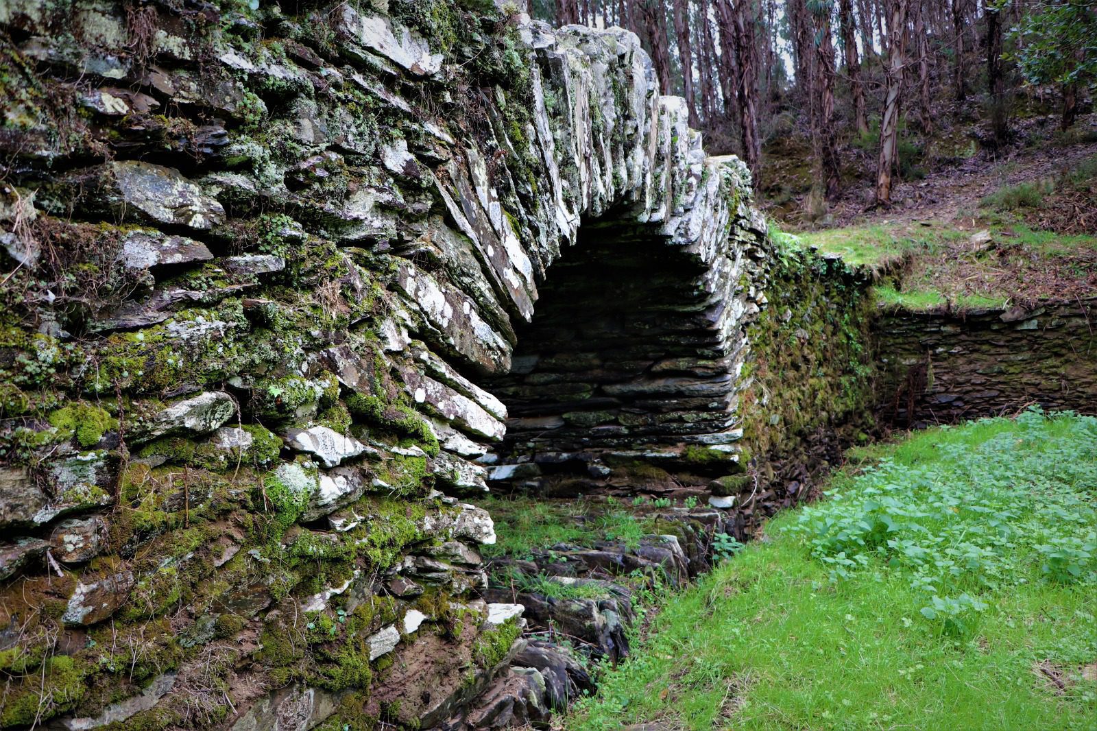 ponte 1