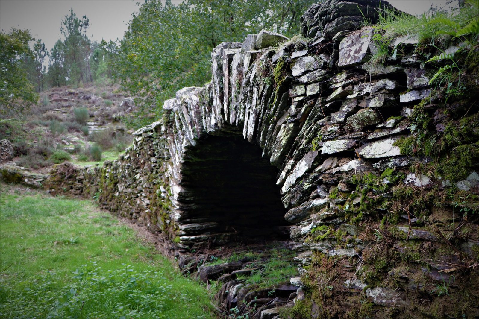 ponte 10