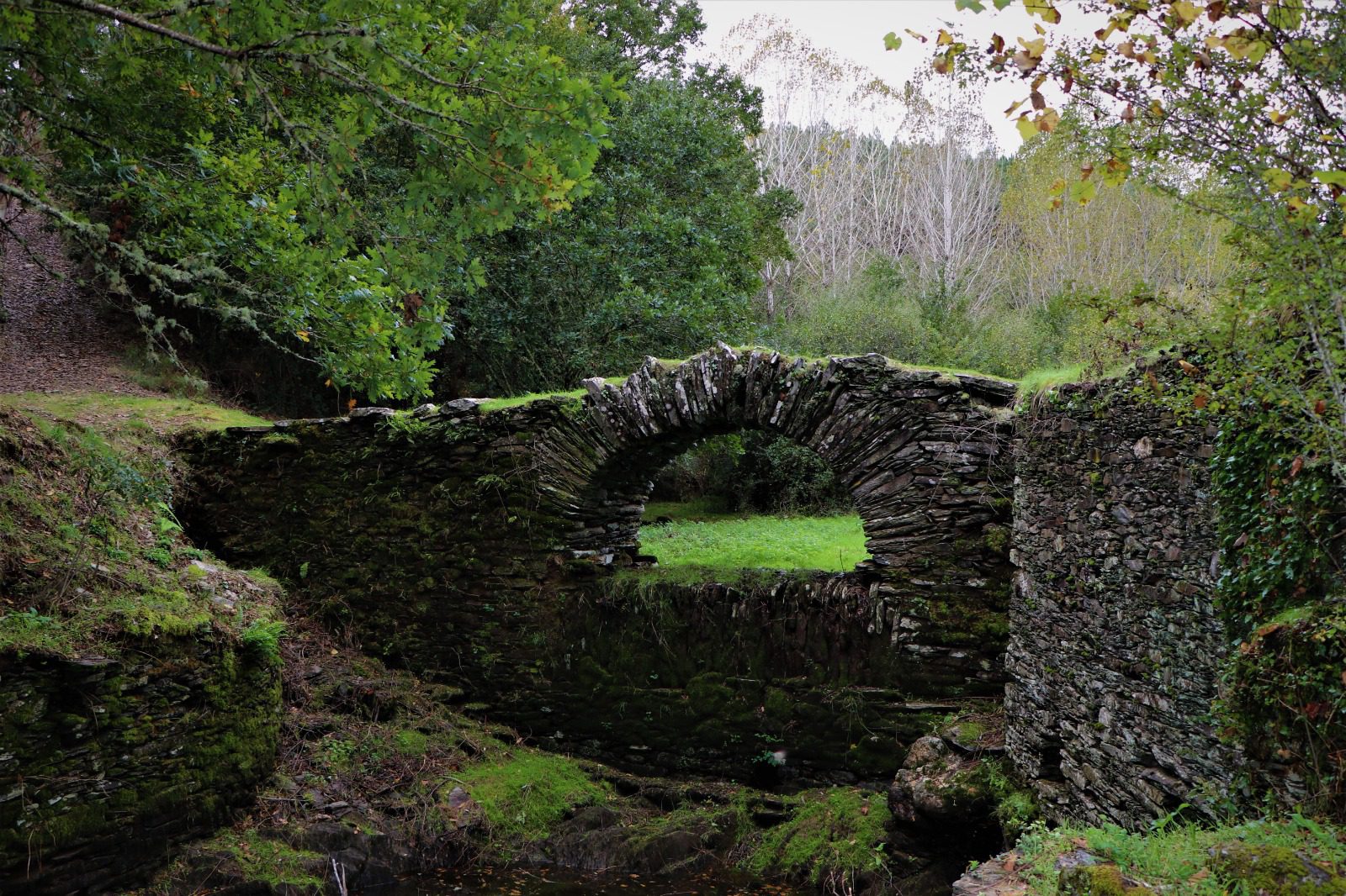 ponte 3