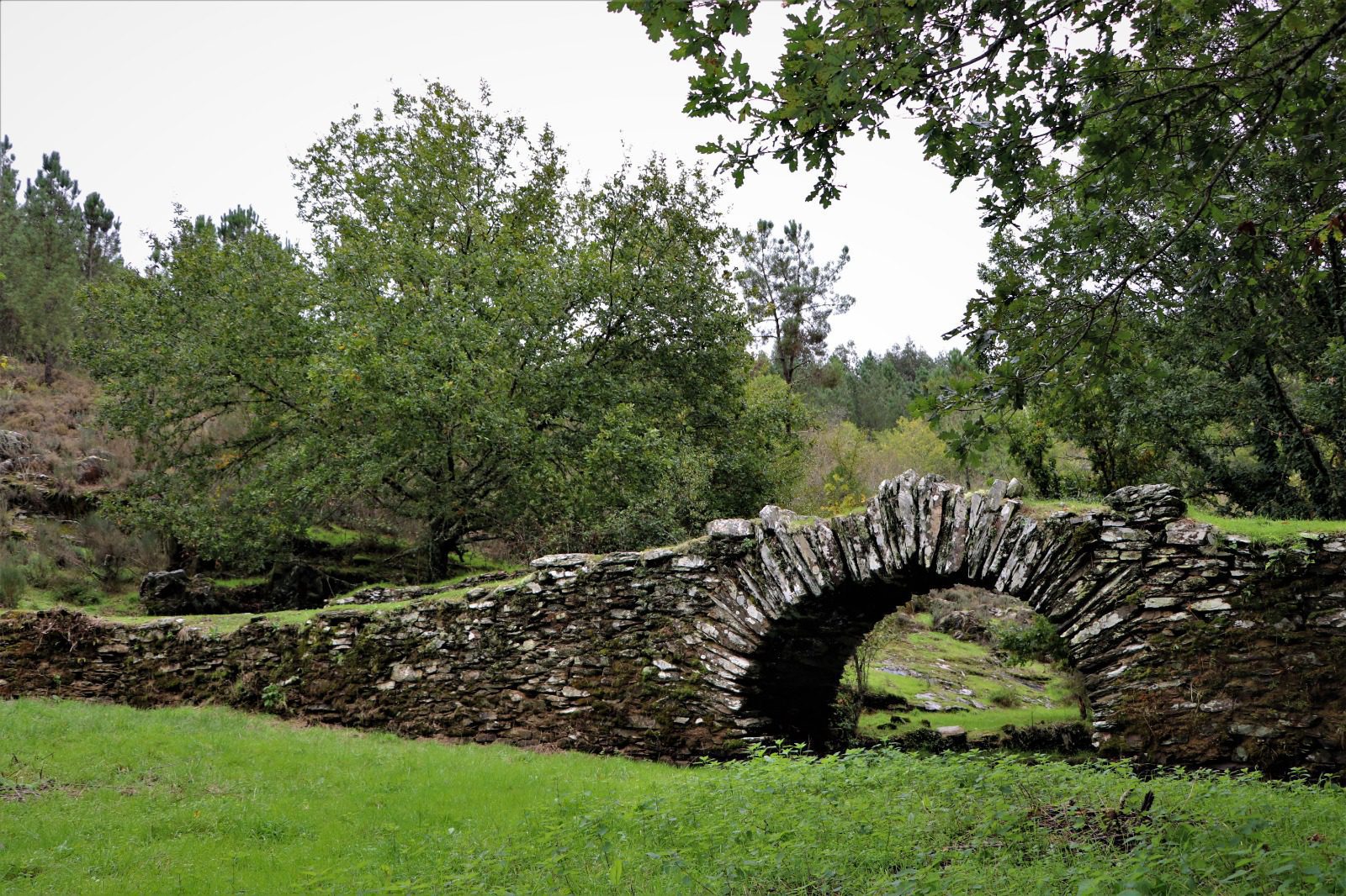 ponte 4