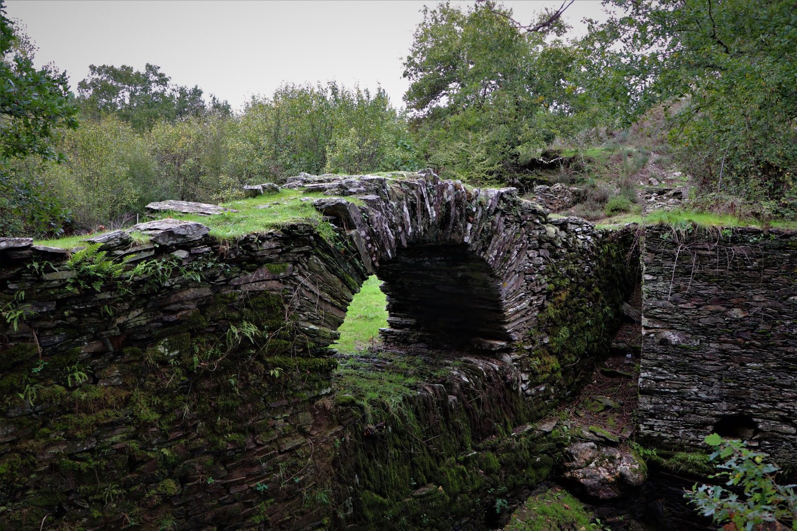 ponte 5