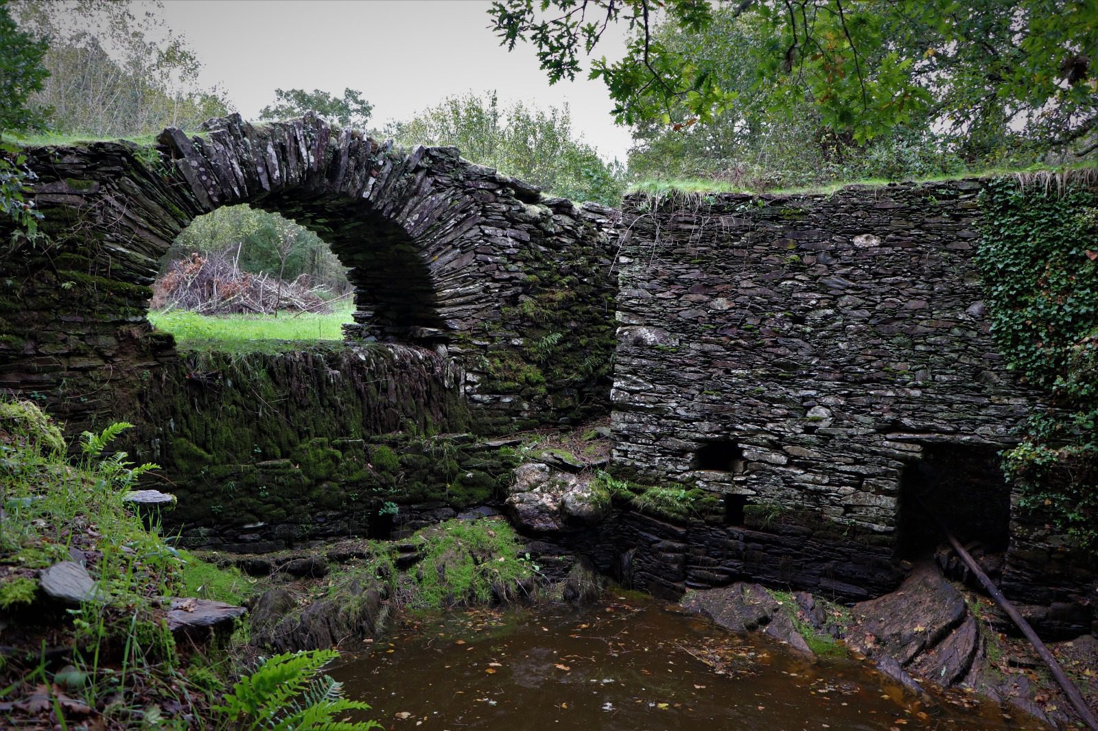 ponte 7