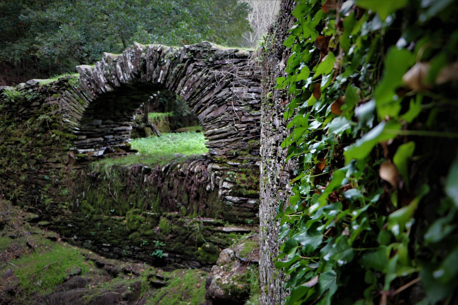 ponte 9