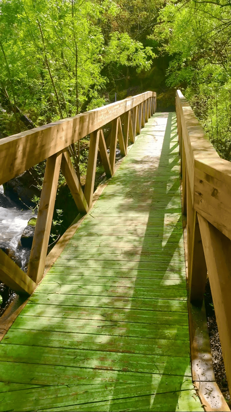 UM DIA NO "PARAÍSO DO BTT"