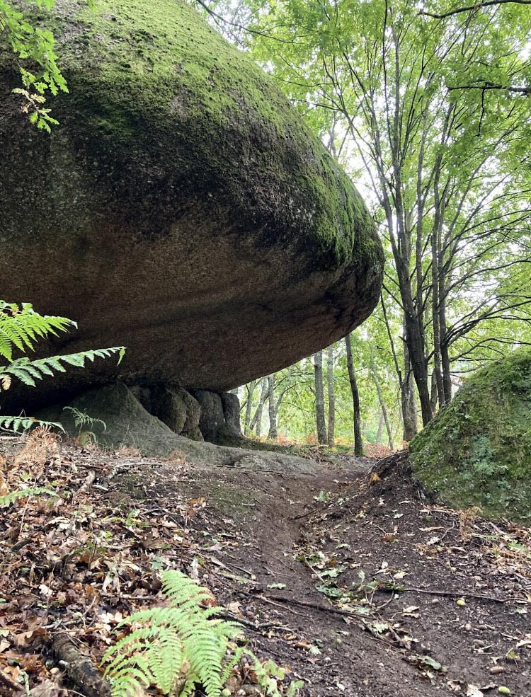 DOIS DIAS NO "PARAÍSO DO BTT"