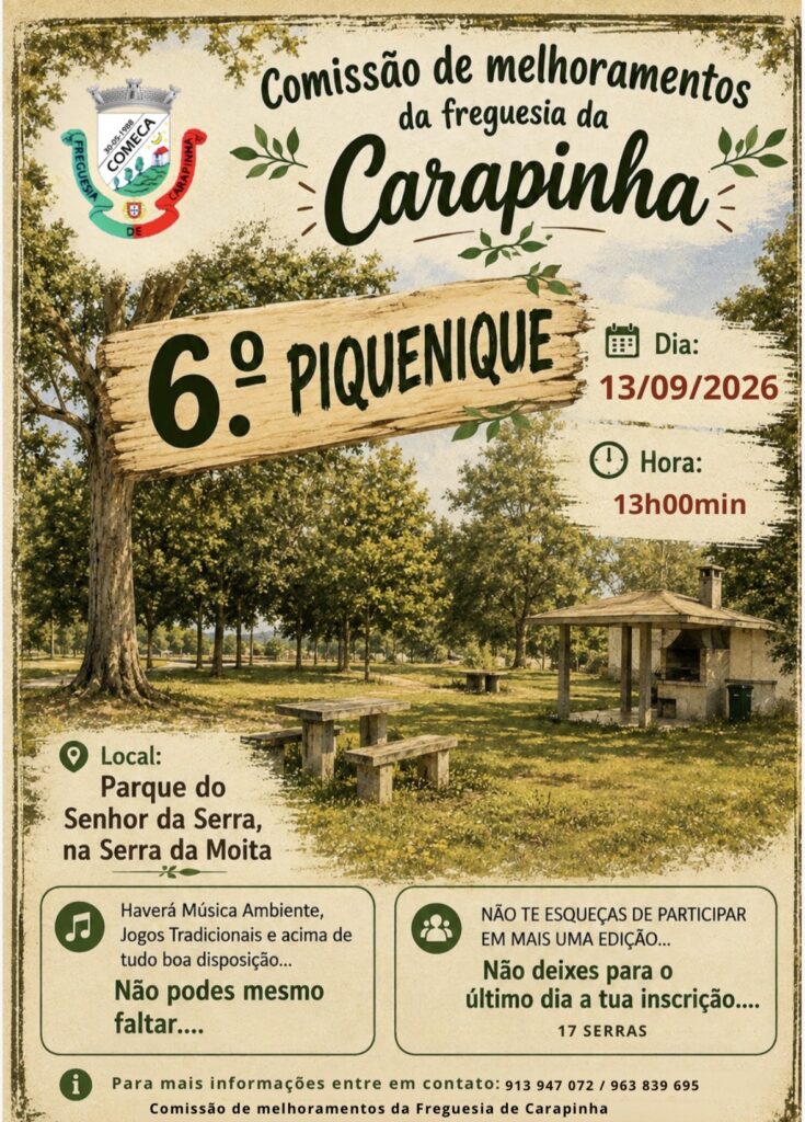 6 Piquenique